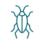 icon-scarafaggi